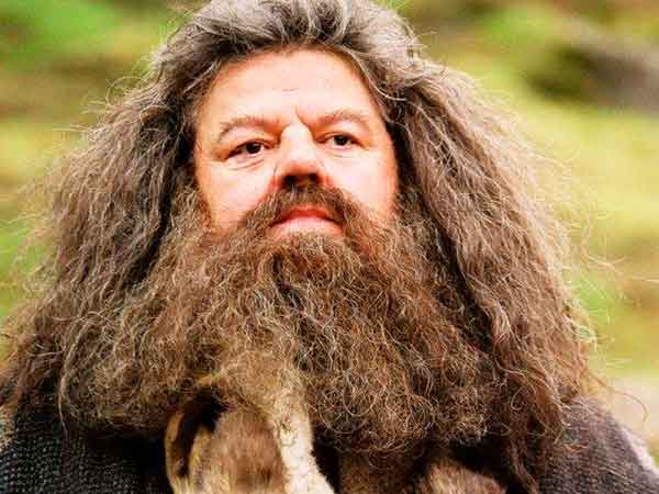 Barba Hagrid