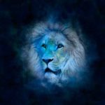 Números de la suerte para Leo