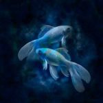 Números de la suerte para Piscis